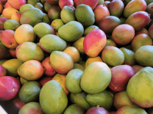 mangos1